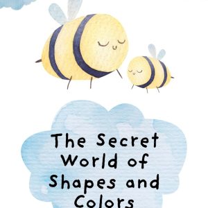 The Secret World of Shapes and Colors